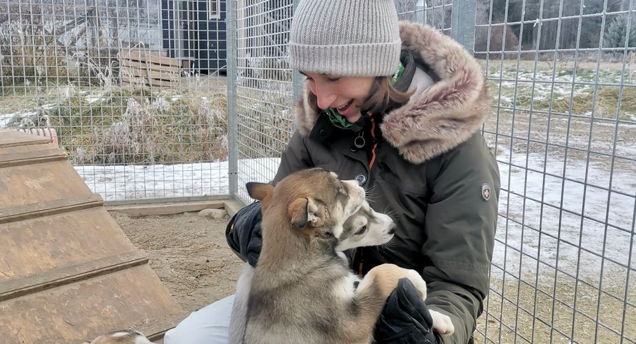 Hondjes knuffelen in Zweden